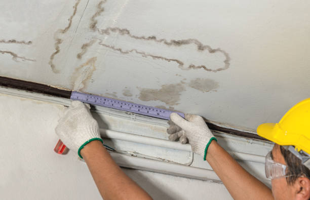 Reliable Basement Water Removal contractor in Winnebago, WI by Water Damage Irwin